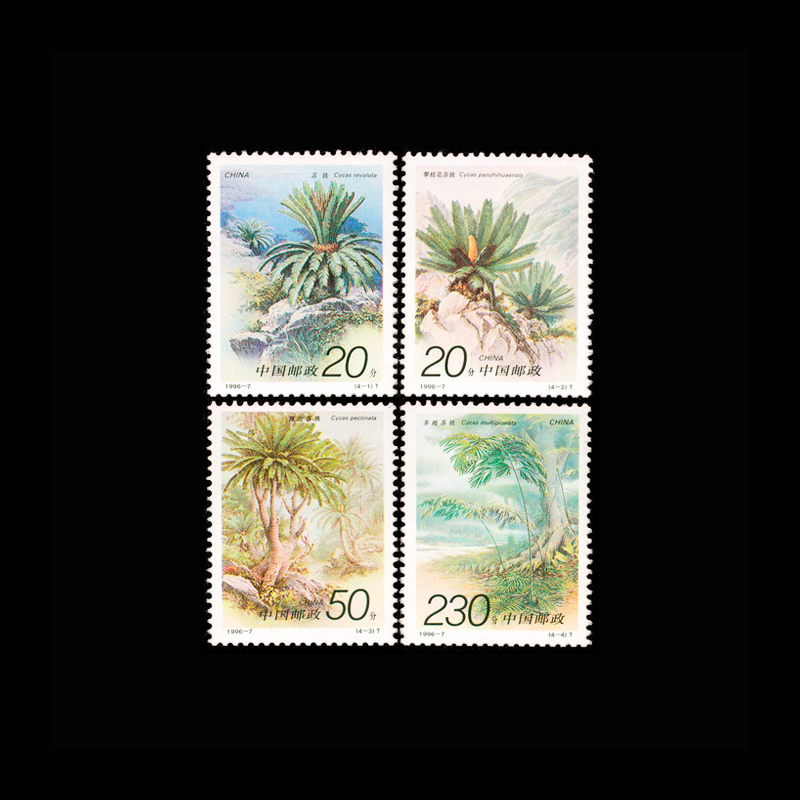 빈티지 1996년 중국 사이카스 식물 우표 4개 세트, - Vintage Collectible Stamps 리뷰 및 가격